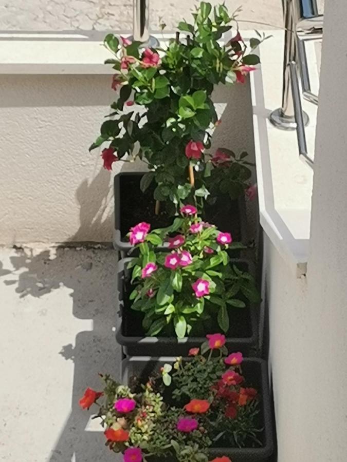 Apartment Lijana Sea View Tučepi Eksteriør billede