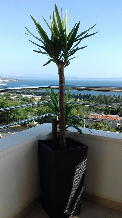 Apartment Lijana Sea View Tučepi Eksteriør billede